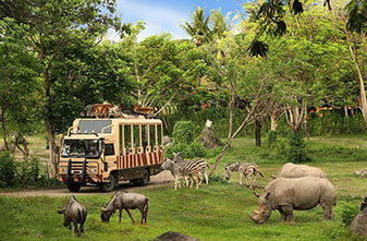 Vườn thú Vinpearl Safari - Condotel Vinpearl Grand World Phú Quốc